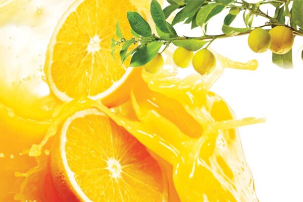 Citrus Fruits