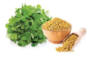 fenugreek
