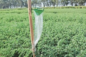 Integrated Pest Management : फसलों में एकीकृत नाशी जीव प्रबंधन