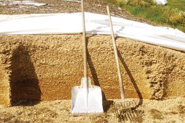 Silage : हरे चारे का बनाएं पौष्टिक साइलेज