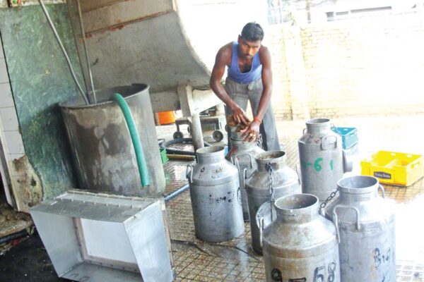 Dairy Business : तेजी से फलताफूलता डेरी कारोबार