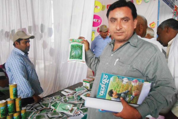 Seed Companies 