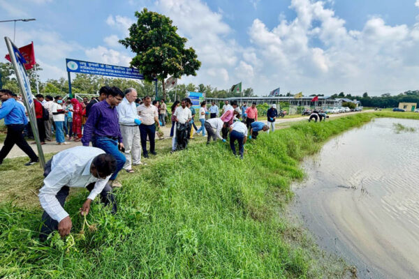 पार्थेनियम : आईएआरआई ने मनाया जागरूकता सप्ताह
