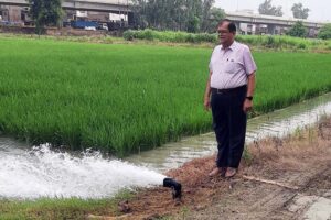 धान फसल को कीट व रोगों से बचाकर, लें अधिक उपज