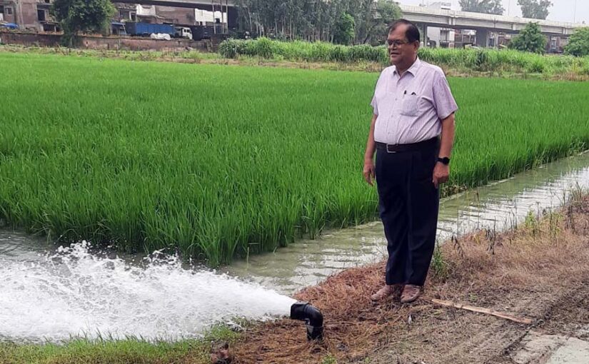 धान फसल को कीट व रोगों से बचाकर, लें अधिक उपज