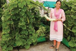 Vegetables on Rooftops : खाली छतों पर उगाएं सब्जियां