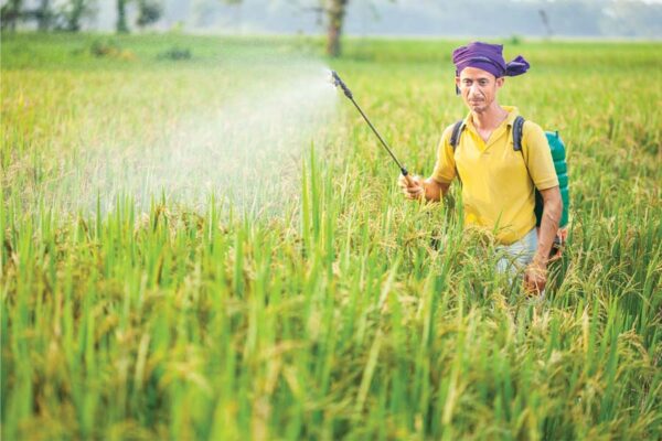 Herbicide : खतरनाक है खरपतवारनाशी ग्लाइफोसेट