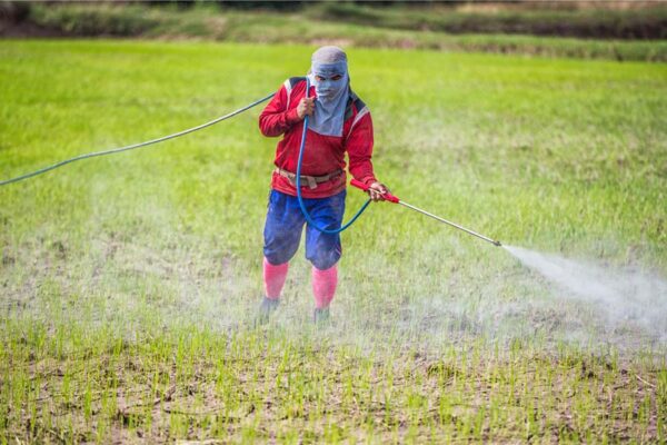 Pesticides : कृषि रसायनों के उपयोग के दौरान बरतें सावधानी