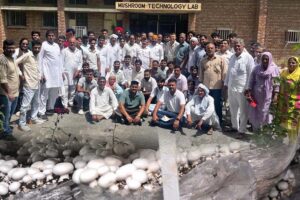 Mushroom : मशरूम उत्पादन ट्रेनिंग: रोजगार की संभावनाएं