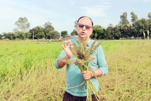 Millets : मिलेट्स की खेती  क्यों जरूरी है