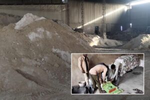 Fake Fertilizers : नकली खाद, बीज की मार किसान हलकान