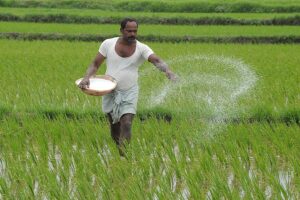 Fake Fertilizers