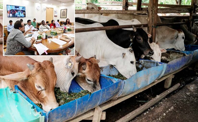 Livestock : पशुधन उत्पादकता बढ़ाने हेतु जागरूकता कार्यक्रम