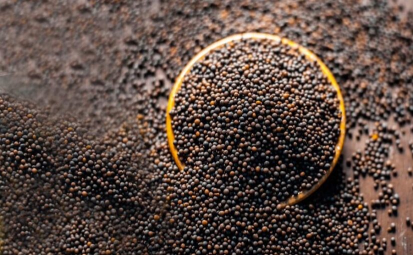 Seeds : किसानों को मिलेगा मुफ्त बीज