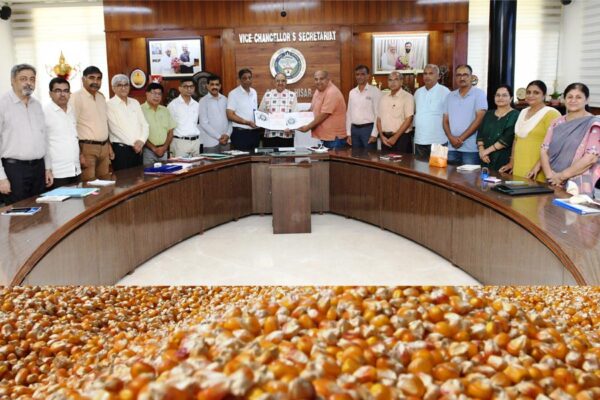 Improved Seeds: उन्नत बीज किसानों तक पहुंचाना प्राथमिकता