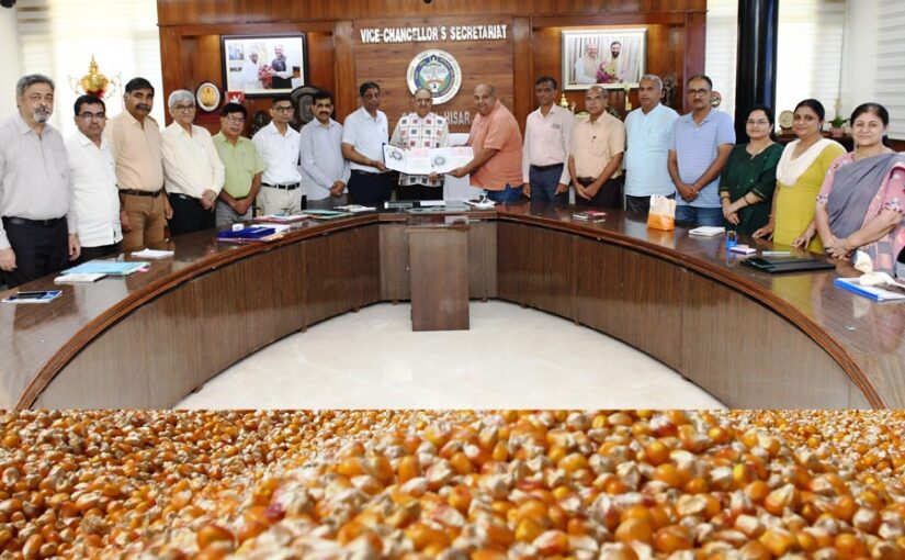 Improved Seeds: उन्नत बीज किसानों तक पहुंचाना प्राथमिकता