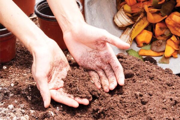 Vermicompost