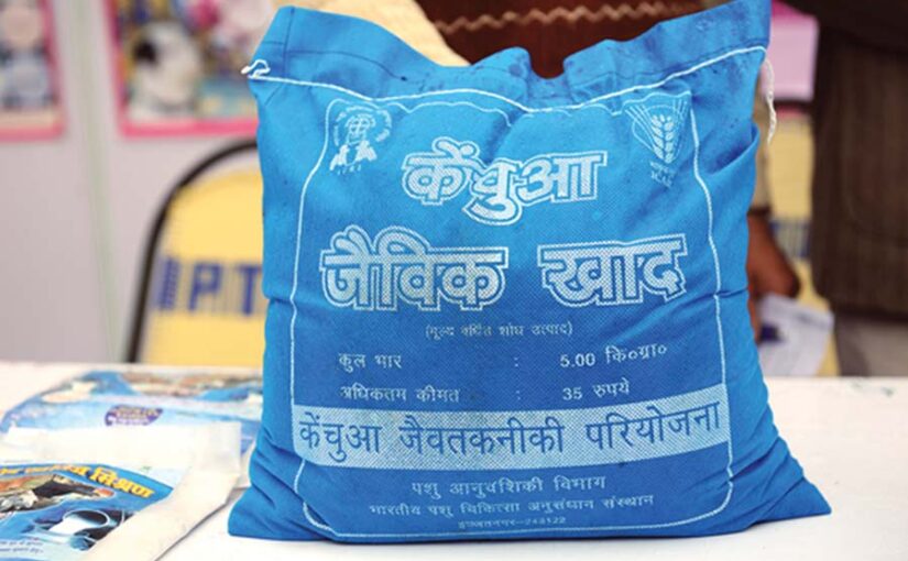 Vermicompost : कचरे से बनाएं वर्मीकंपोस्ट