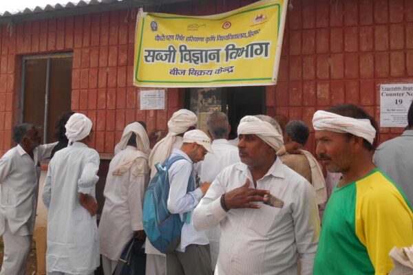 Seeds : 2 दिन में 2 करोड़, 49 लाख रुपए के बिके बीज