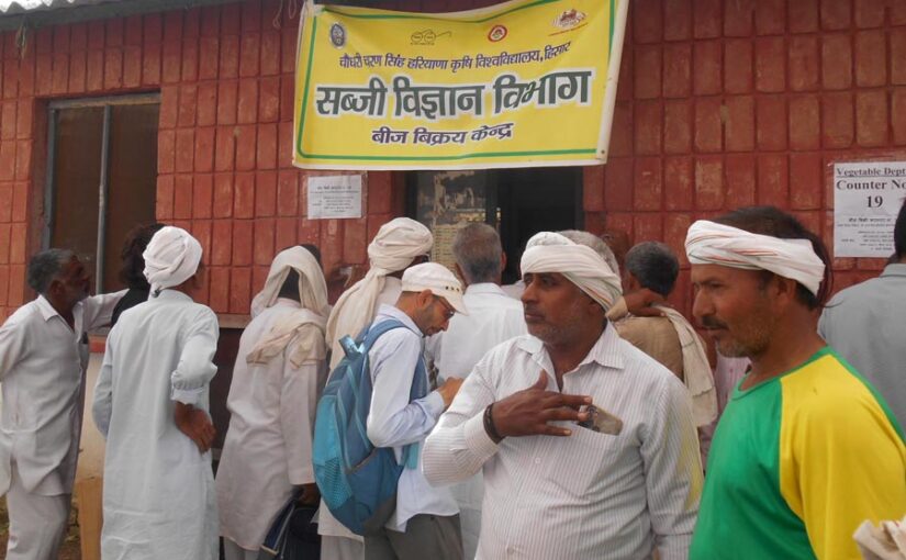 Seeds : 2 दिन में 2 करोड़, 49 लाख रुपए के बिके बीज