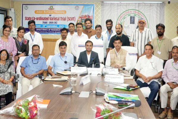 High-Yielding Varieties : बिहार को मिली पांच नई उच्च उत्पादक किस्में