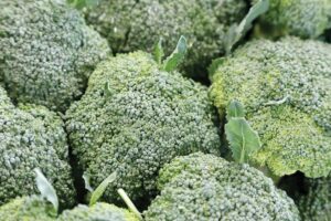Broccoli : ब्रोकली की खेती