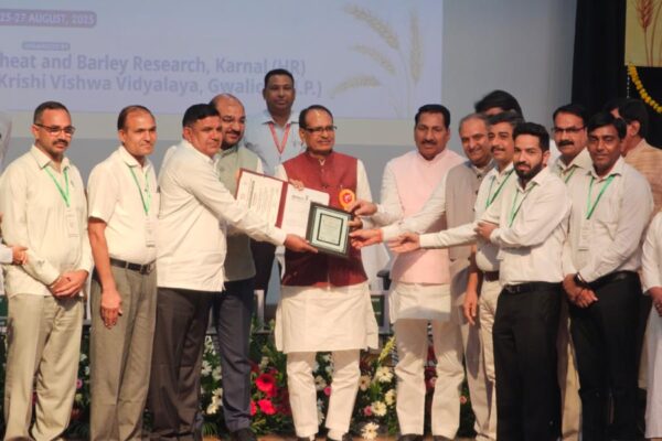 Wheat Scientists : गेहूं वैज्ञानिकों को मिला राष्ट्रीय सम्मान