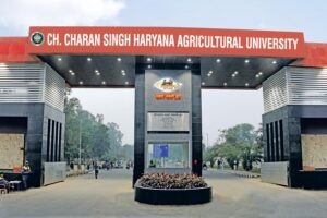 Agricultural Fair : हरियाणा कृषि विश्वविद्यालय में लगेगा कृषि मेला