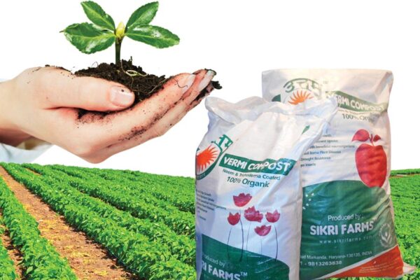 Organic Farming : जैविक खेती से फायदा