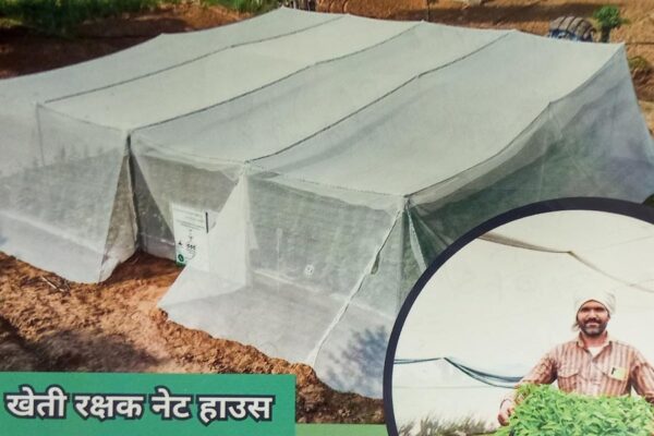 Net House : खेती रक्षक नैटहाउस – बेमौसम में भी उगाएं सब्जियां