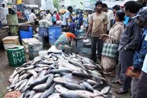 Fish Farming : मत्स्यपालन उत्पादन हुआ दोगुना से ज्यादा