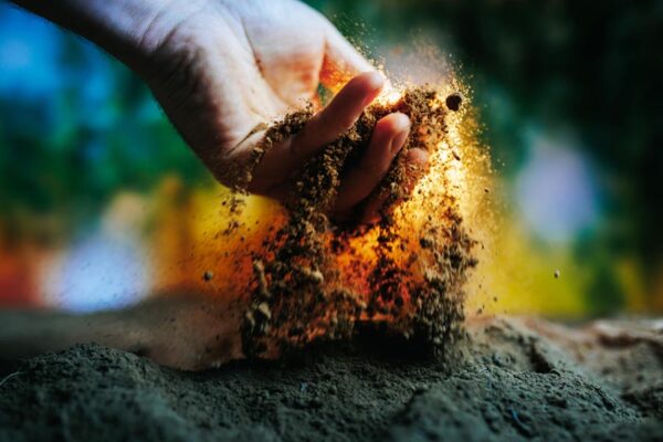 Soil Testing : किसान घर बैठे मुफ्त कराएं खेत की मिट्टी जांच