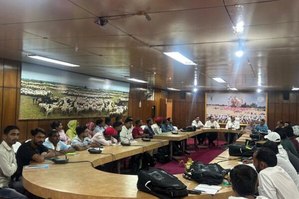 Livestock Farming : वैज्ञानिक पद्धति से भेड़बकरी और खरगोश पालन