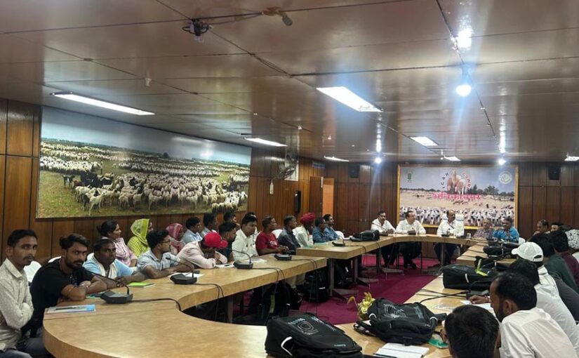 Livestock Farming : वैज्ञानिक पद्धति से भेड़बकरी और खरगोश पालन