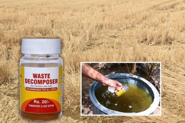 Decomposer : वेस्ट डीकंपोजर से कम समय में बनाएं खाद