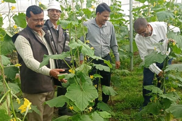 Horticulture Crops