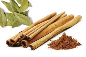 Cinnamon : औषधीय फसल दालचीनी की खेती