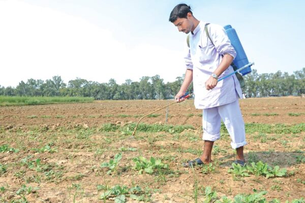 Pesticides : फलसब्जियों में जहर कीटनाशकों का कहर