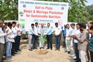 Khejri and Moringa : खेजड़ी और मोरिंगा जीवन का आधार