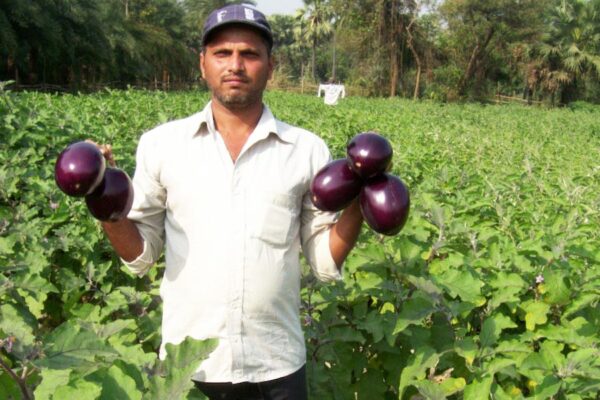 Farmer : एमए पास बना कामयाब किसान