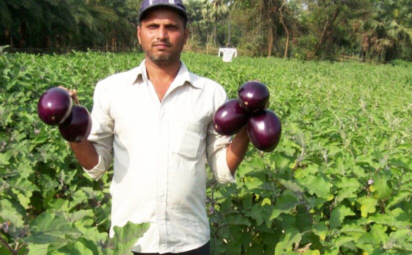 Farmer : एमए पास बना कामयाब किसान