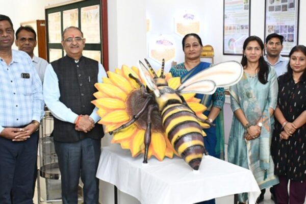 Bee Museum : मधुमक्खी संग्रहालय का उद्घाटन