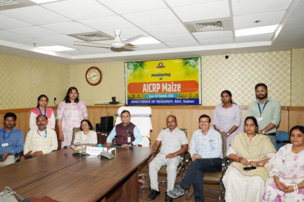 Multi-Cut Fodder : बीएयू सबौर विकसित करेगा मल्टी-कट चारा