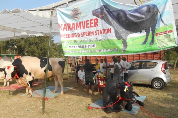 Kisan Mela : किसान मेला में पशु प्रदर्शनी और प्रतियोगिता का आयोजन