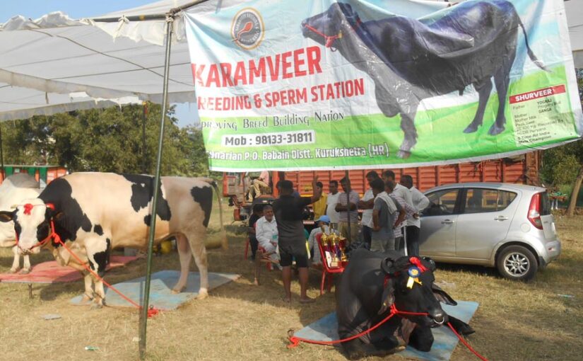 Kisan Mela : किसान मेला में पशु प्रदर्शनी और प्रतियोगिता का आयोजन