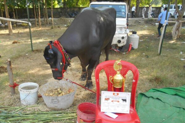 Kisan Mela