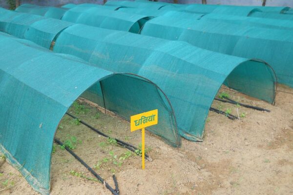 प्लास्टिक लो टनल तकनीक से उगाएं बेमौसमी सब्जियां