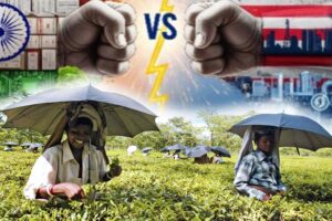 Tarriff War : अमेरिका ने भारत को दी राहत, किसानों को मिलेगा फायदा?