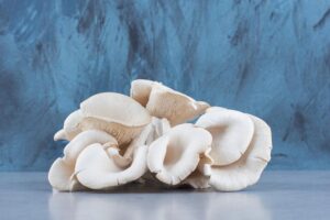 Mashroom Cultivation : घर से मशरूम का खिलता कारोबार