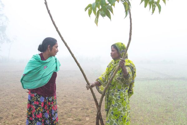 Weather Update : क्या है मौसम का मिजाज़ जानिए राज्यवार